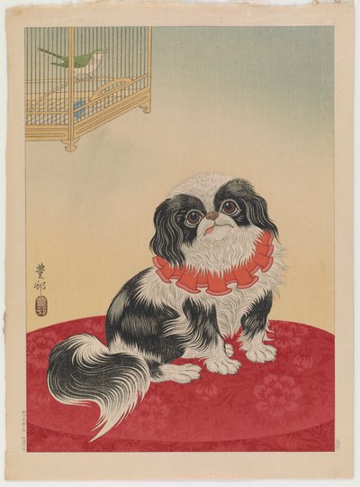 Pekingese dog, c.1930 by Ohara Koson